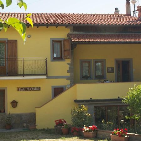 B&B Vista Casentino Pratovecchio Eksteriør billede