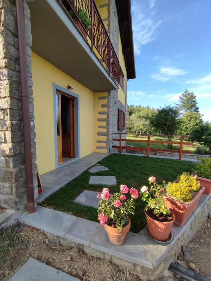 B&B Vista Casentino Pratovecchio Eksteriør billede
