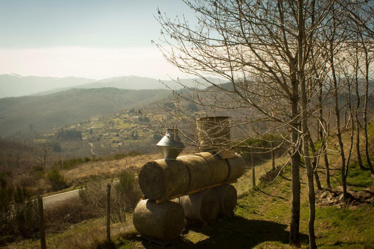 B&B Vista Casentino Pratovecchio Eksteriør billede