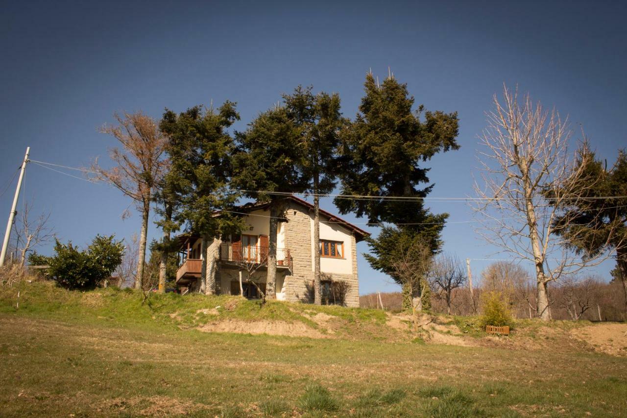 B&B Vista Casentino Pratovecchio Eksteriør billede