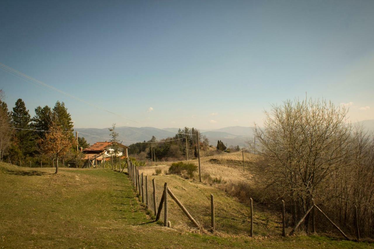 B&B Vista Casentino Pratovecchio Eksteriør billede