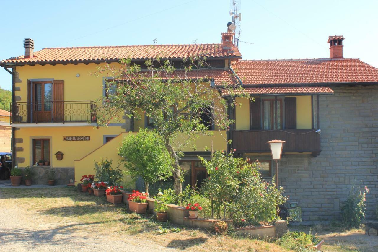 B&B Vista Casentino Pratovecchio Eksteriør billede