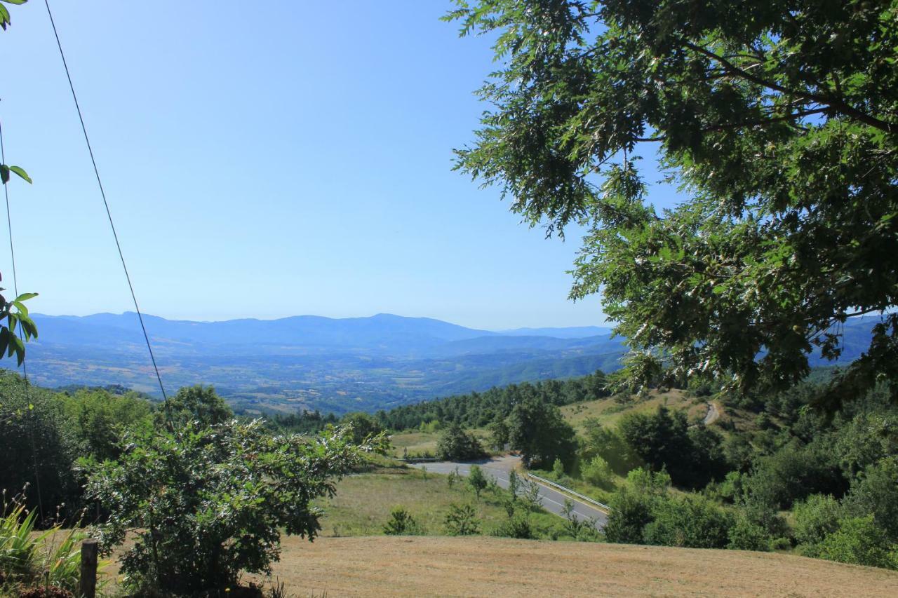 B&B Vista Casentino Pratovecchio Eksteriør billede